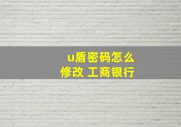 u盾密码怎么修改 工商银行